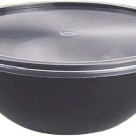 PLASTIC CONTAINER & LIDS 500 CTN-2